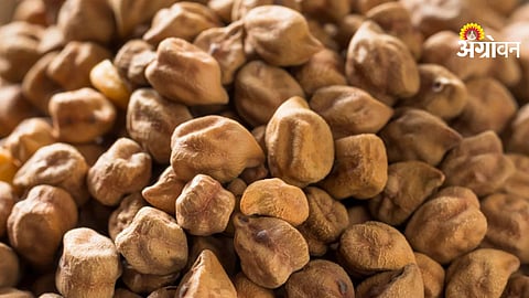 7.61 lakh tonnes gram procurement approval details