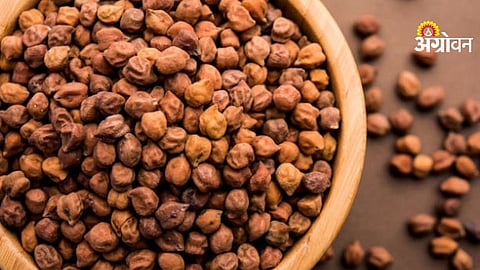 MSP based chana procurement decision for farmers