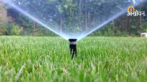 Water saving techniques in Maharashtra farming