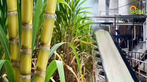 Sugarcane Crushing Season