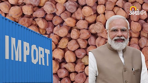 Chana Import Pressure on Prices