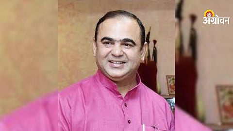 MAGNET scheme banana hub development India