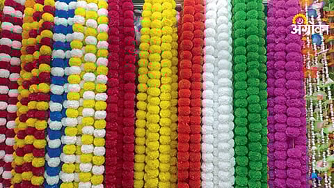 Plastic flower ban rules India