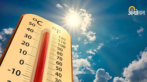 IMD Predicts Continued Hot Weather in Maharashtra