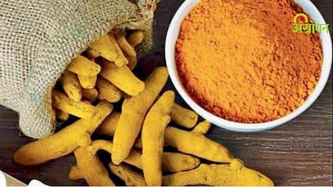 Turmeric Price