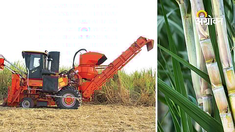 Sugar Mills Season Nears End in Maharashtra
