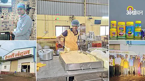 Successful milk processing startup story