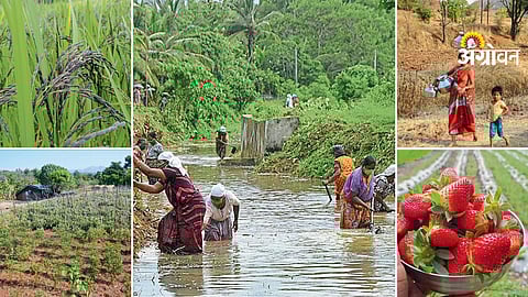 Farmer unity irrigation success story India