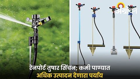 Best irrigation method during summer water scarcity
