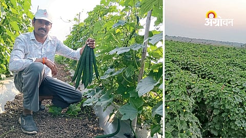 High-tech sugarcane farming Maharashtra success story