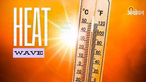 Konkan Heatwave 2026