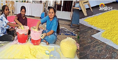 Business opportunities in natural dye production