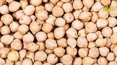 Kabuli Chana Threshing