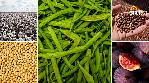 Agricultural market trends India