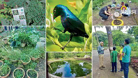 Seasonal blooms in botanical gardens