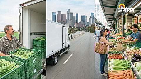 Importance of cold chain in agriculture India