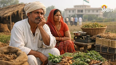 Maharashtra medicinal plant growers awaiting subsidy