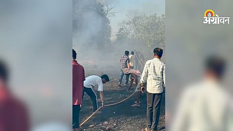 Five acre cashew grafts burned in Banda Deulwadi