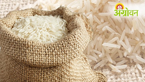 Rice Exports