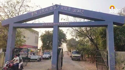 Cotton MSP procurement problems in Akola district