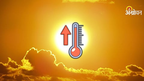 IMD forecast on declining cold wave and increasing heat