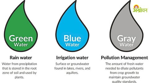 Importance of water footprint in water management