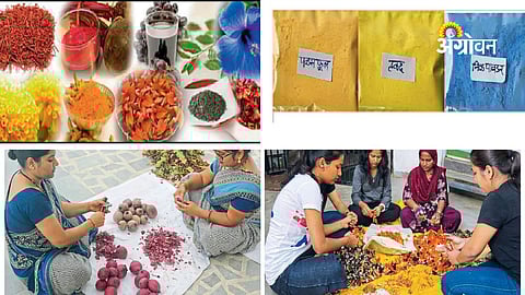 Homemade herbal colors for Holi festival