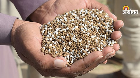 Impact of Hormuz Strait closure on India fertilizer imports