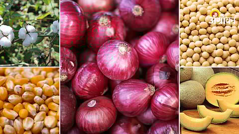 Daily agri commodity market report India