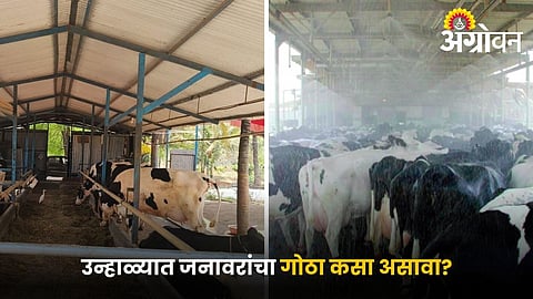 Ways to reduce temperature in livestock shed