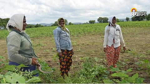 Telangana Women Farmers