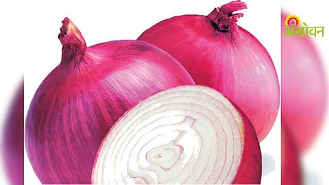 Onion Crisis