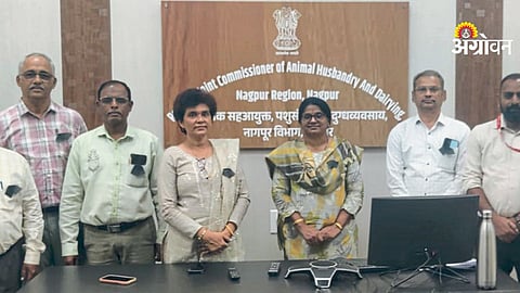 Veterinary officers collective resignation warning