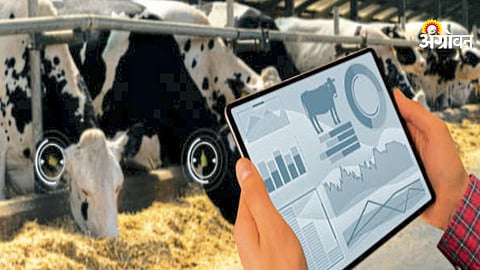 Artificial intelligence in dairy farming India