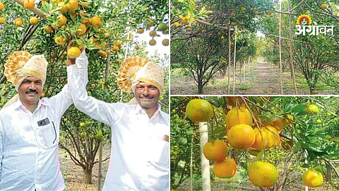 Farmer success story in dryland agriculture