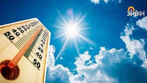 Heatwave forecast in Maharashtra upcoming days