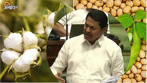 MLA Nana Patole In Assembly 