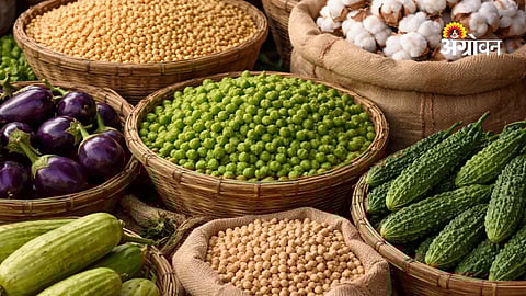 Daily Commodity Rates