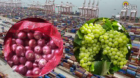 Middle East war impact agriculture