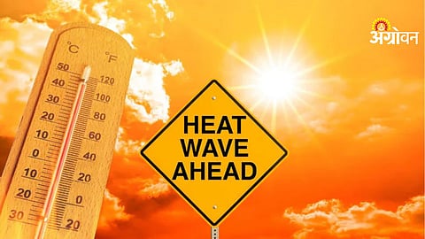 above normal summer temperature forecast India