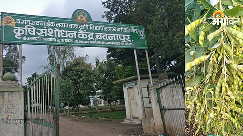 pulse quality research centre Badnapur Jalna Maharashtra