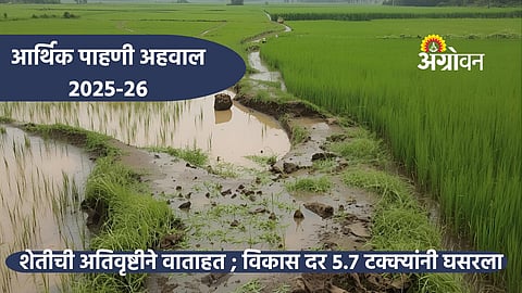 Agriculture growth rate decline due to floods in India