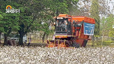 importance of mechanization in cotton farming India