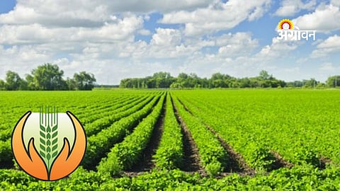 PM crop insurance scheme compensation delay in Parbhani