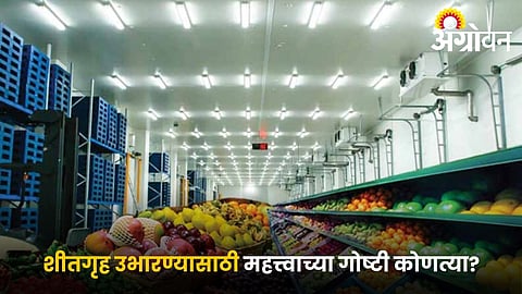 Design standards for agricultural cold storage facilities