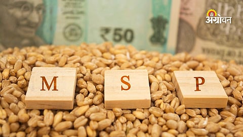 Farmers Demand Loan Waiver and Fair Crop Prices in Ahilyanagar