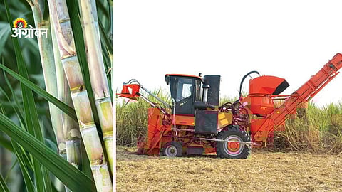 Pending FRP payments to sugarcane farmers Maharashtra