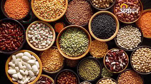 subsidy for pulse processing unit in India