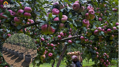 Climate change agriculture 