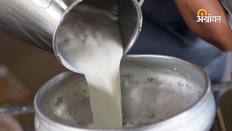 Mother Dairy investment project Nagpur Maharashtra